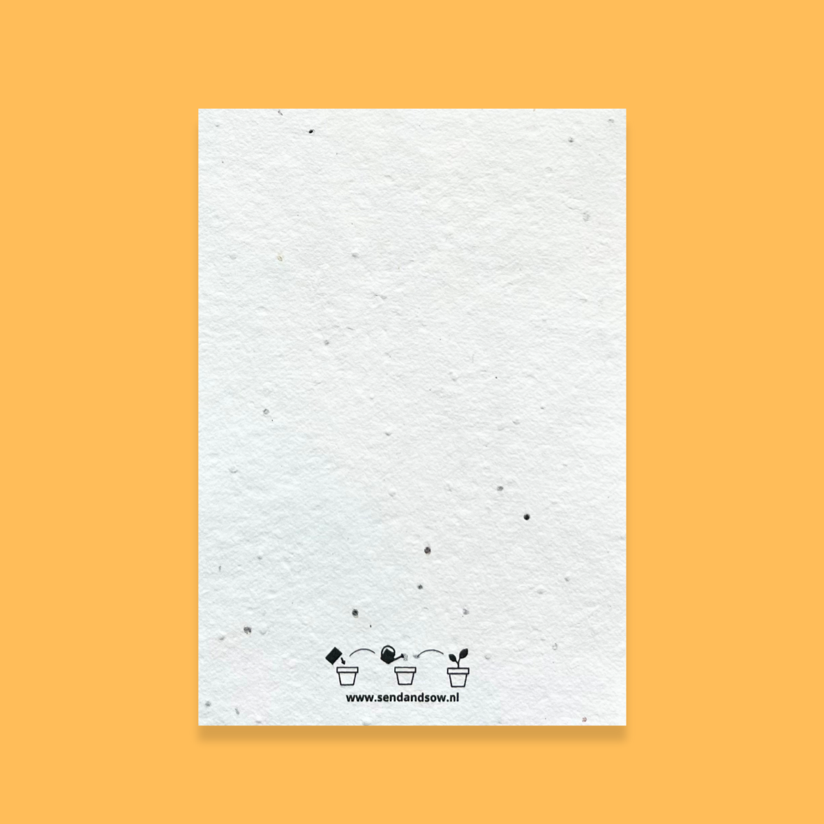 Package M: 40 growth cards with recycled envelopes.